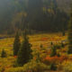 Today’s Travel Tip: Leaf Peeping in Colorado