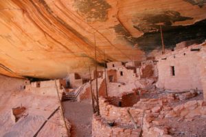 Travel Tip: Navajo National Monument